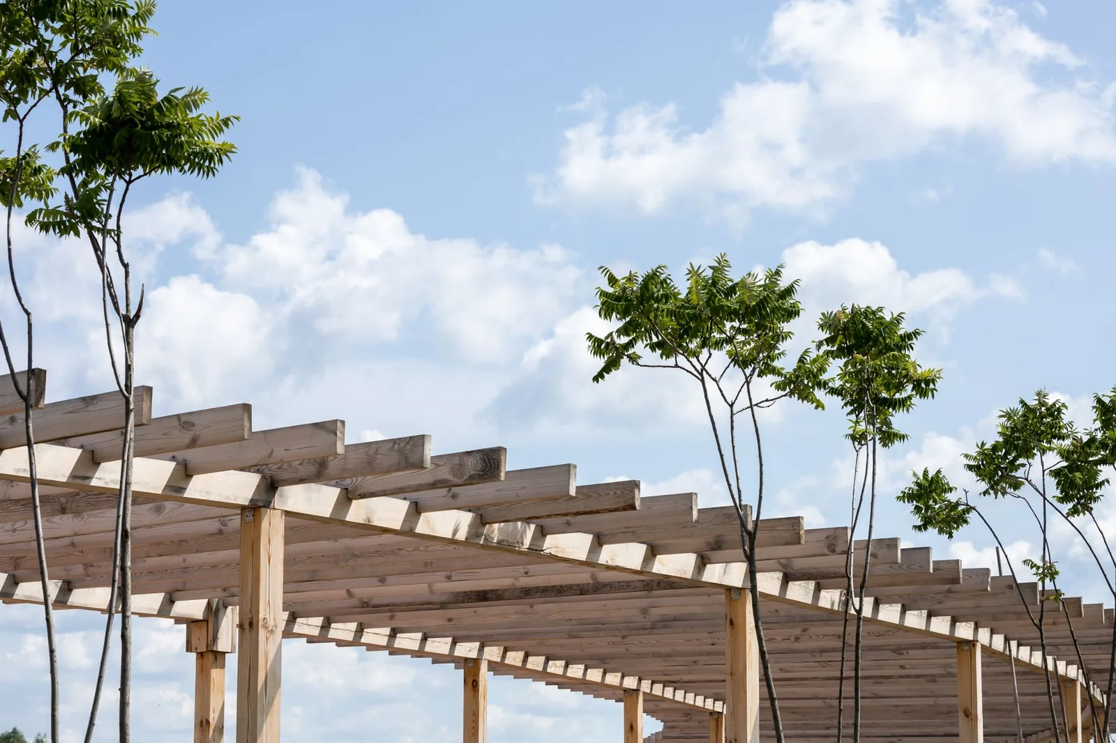 pergola cost per square foot — cedar pergola with open slat roof over a backyard patio