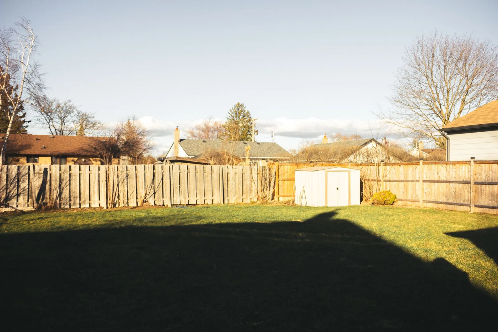 Backyard privacy fence height