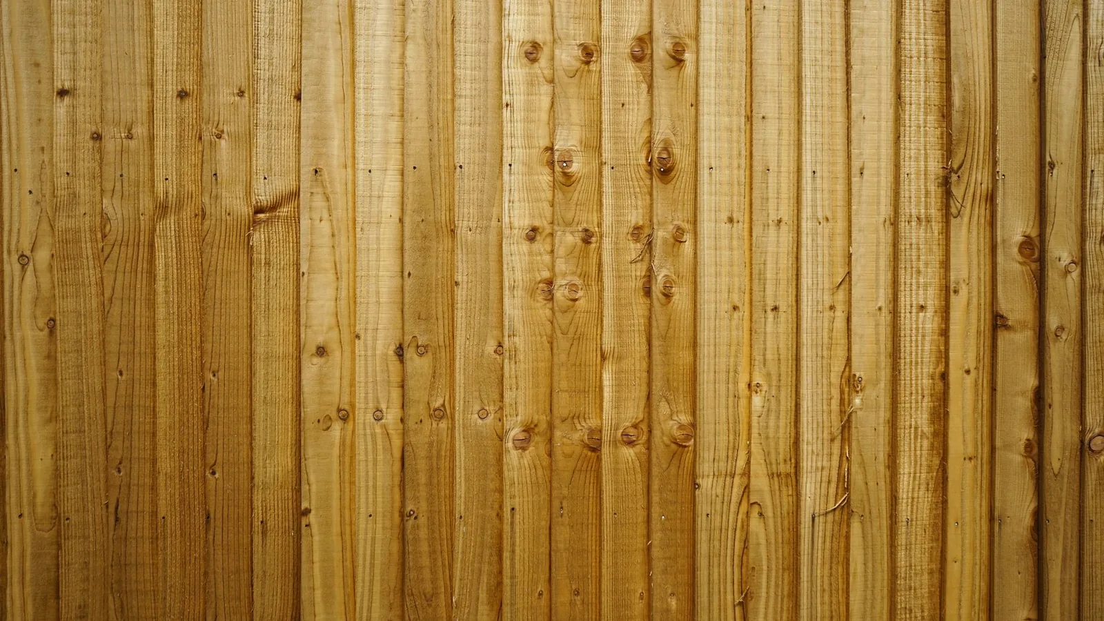 cedar fence vs pressure treated