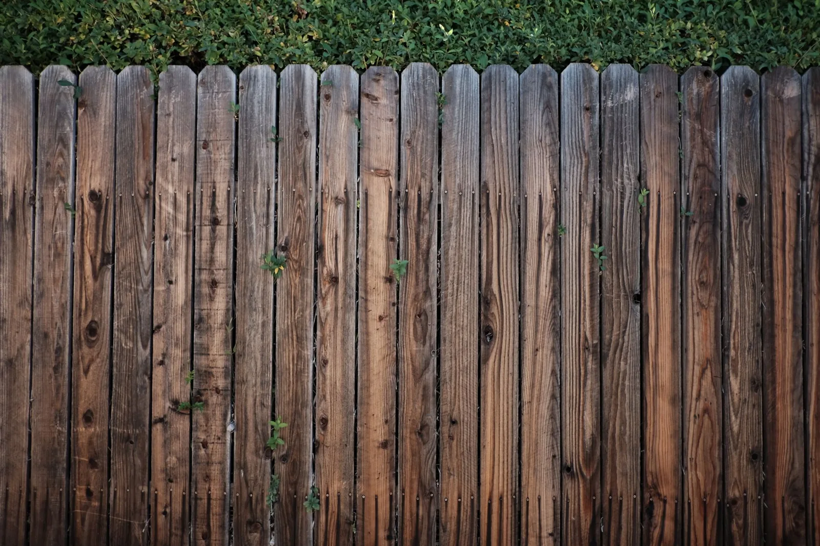 privacy fence ideas