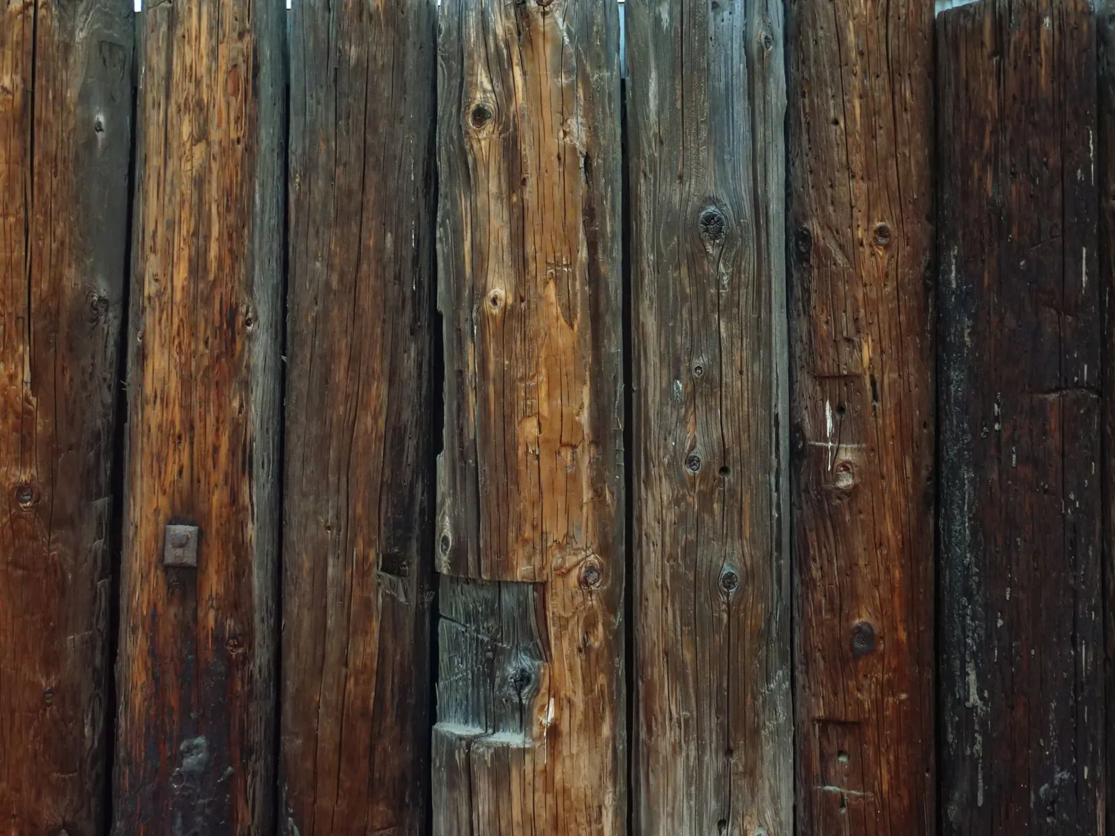 vinyl fence vs wood fence