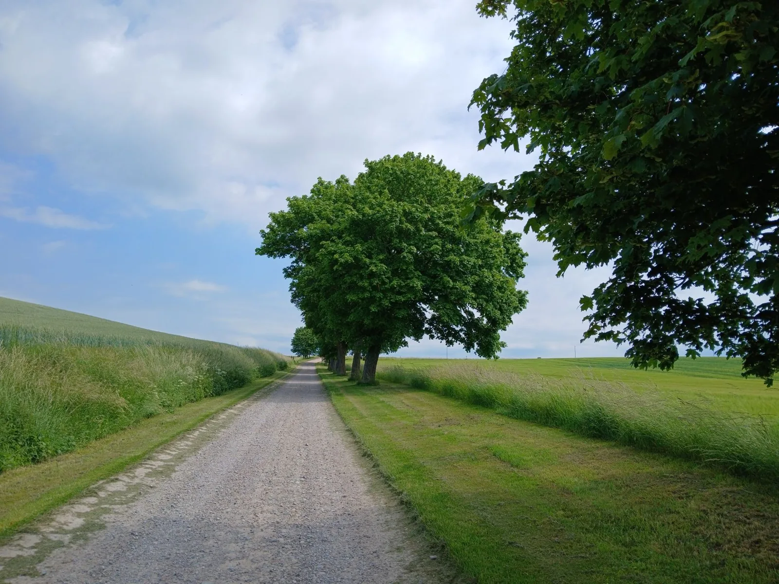 Gravel driveway cost per square foot depends heavily on the stone type and site prep