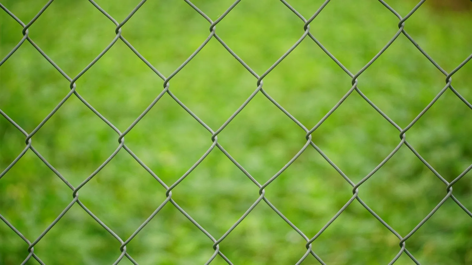 Vinyl-coated chain link fence with privacy slats in a backyard