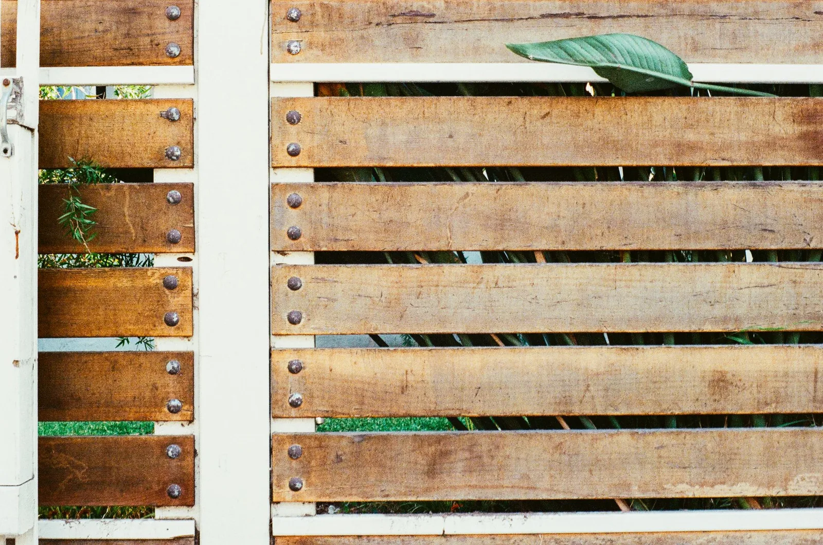 backyard privacy fence with horizontal wood slats