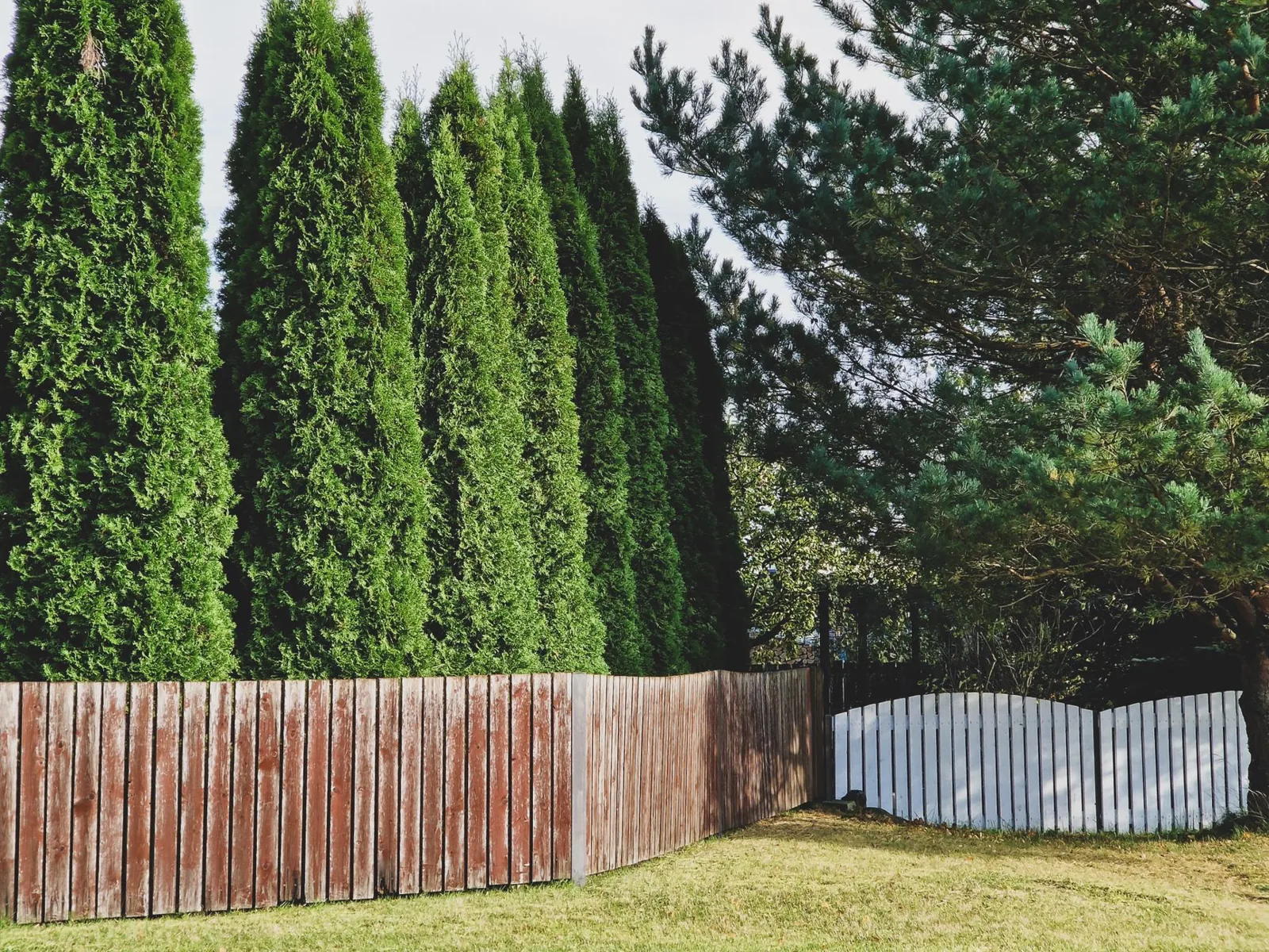 cedar slat privacy screen installed along a backyard fence line