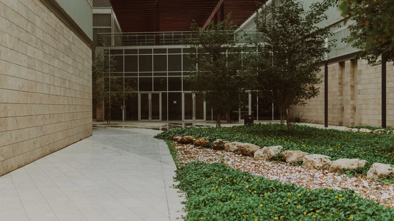 A freshly poured concrete walkway with clean control joints