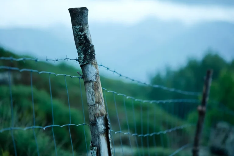 Fence Post Depth and Spacing: How Deep and How Far Apart to Set Posts