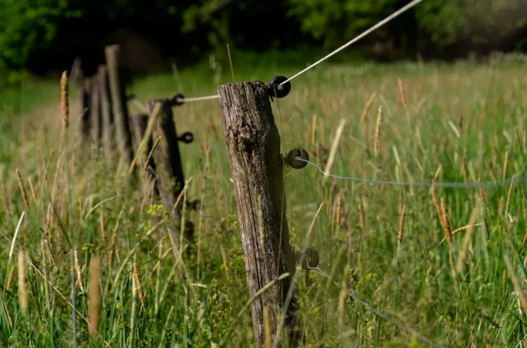 How to Repair a Leaning Fence: A Step-by-Step Guide
