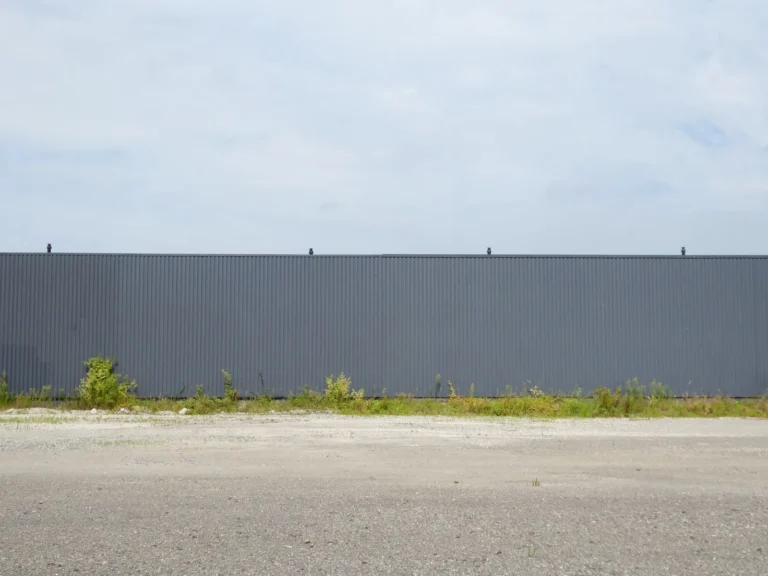 Privacy Fence Ideas: 9 Designs for Real Seclusion and Curb Appeal