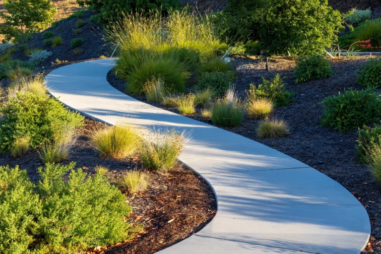 Concrete Walkway Cost: What Homeowners Really Pay in 2025