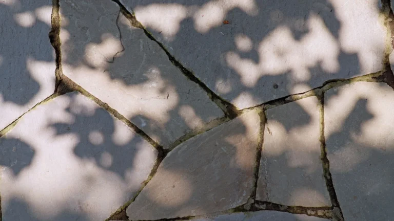 Flagstone Patio Cost: What You’ll Really Pay in 2026