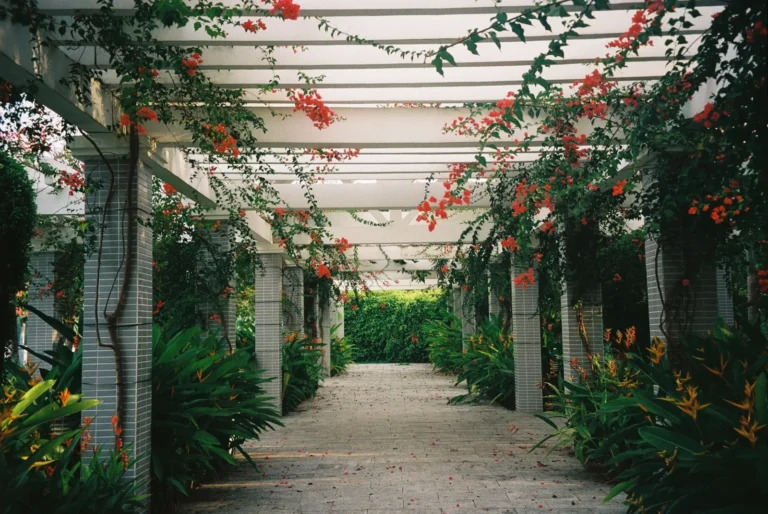 Arbor vs Pergola Difference: Which Structure Belongs in Your Yard?